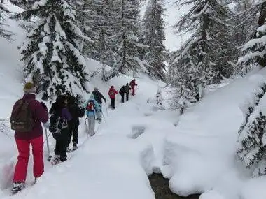 Groupe en raquettes dans une forêt enneigée