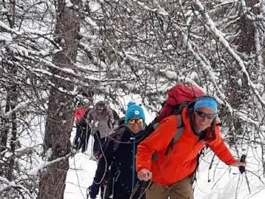 Randonneurs en raquettes sous les arbres